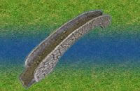 Datei:Bruecke-hori.gif
