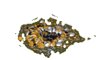 Datei:Goldmine-oldschool.png